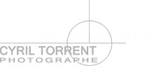 cyril studio